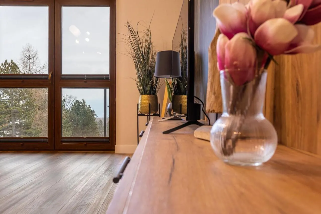 Apartmán Green Park Resort A11- Z Dostepem Do Basenu, Sauny, Jacuzzi, Silowni Sklářská Poruba